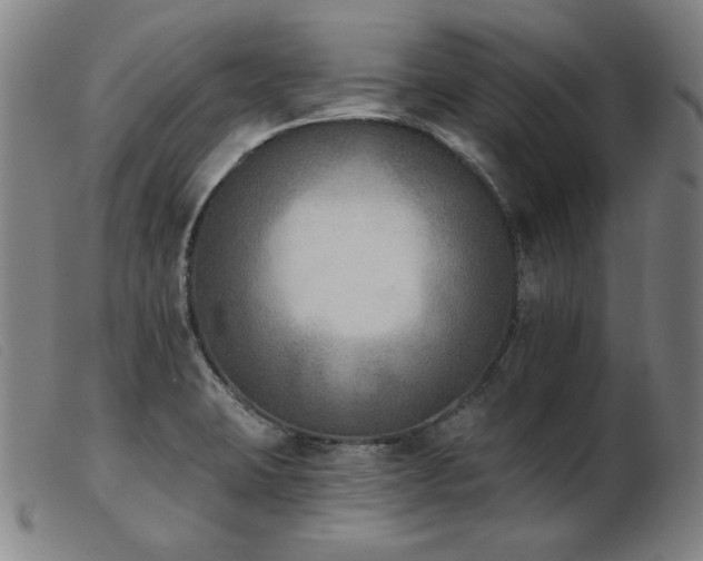X0000103911423200809191251