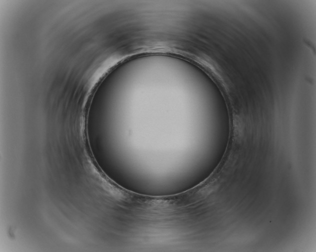 X0000103911424200809191251