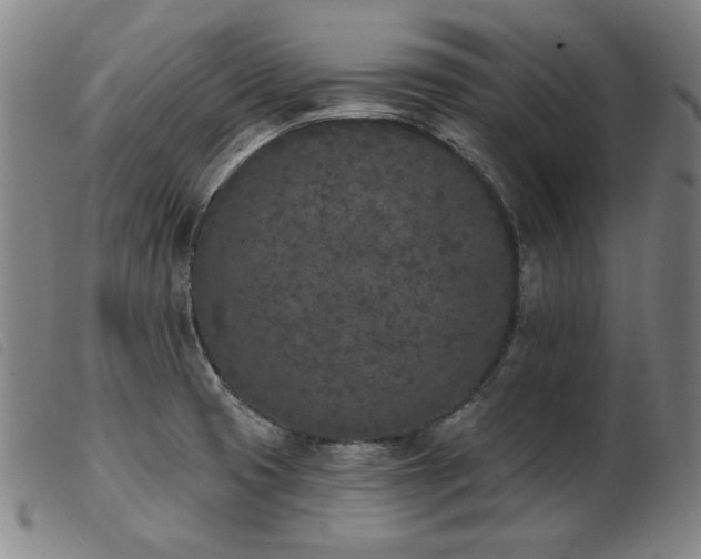 X0000103911425200809191251