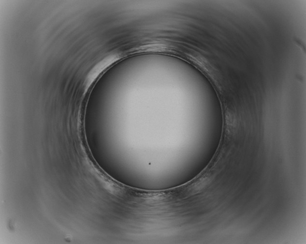 X0000103911426200809191251