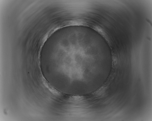 X0000103911427200809191251