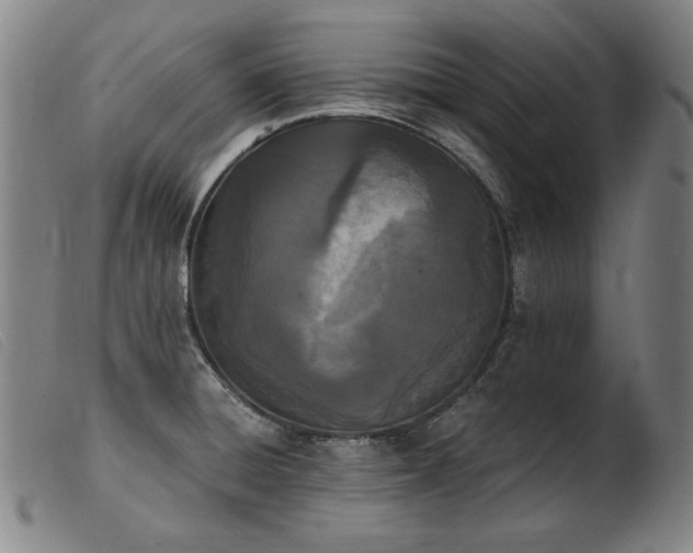 X0000103911428200809191251