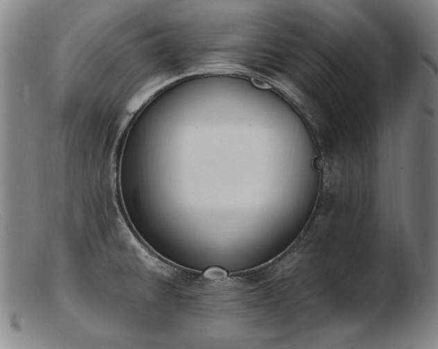 X0000103911430200809191252