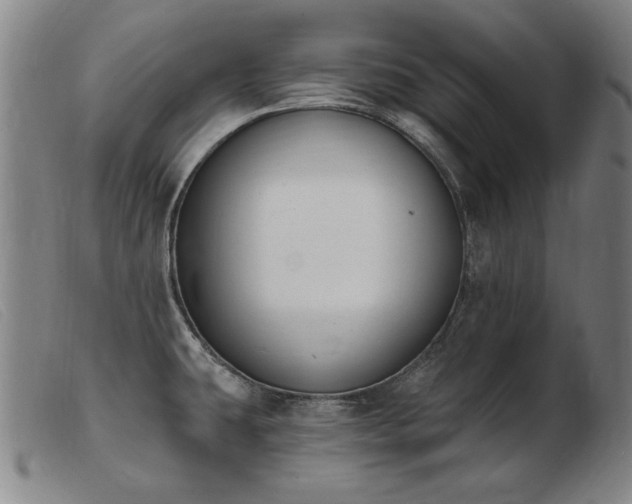 X0000103911431200809191252