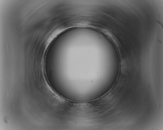 X0000103911432200809191252