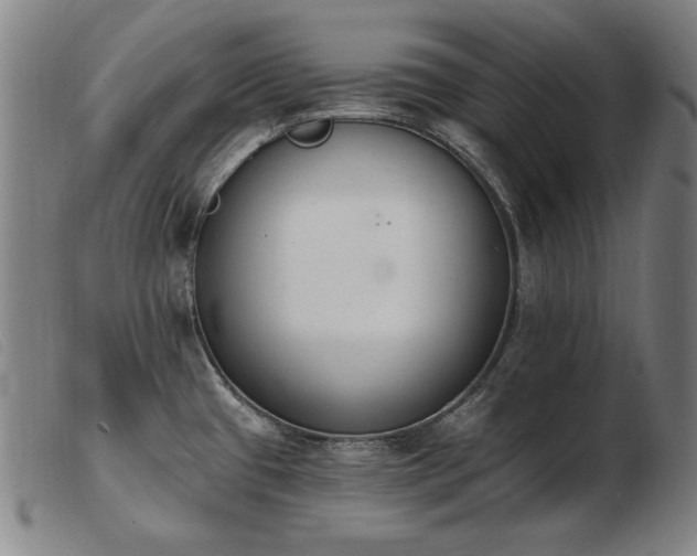 X0000103911433200809191252