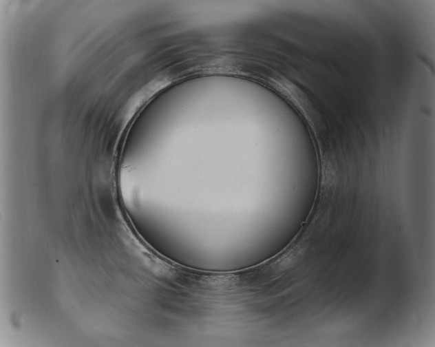 X0000103911434200809191252