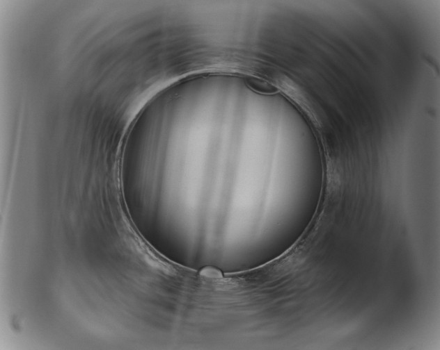 X0000103911436200809191252