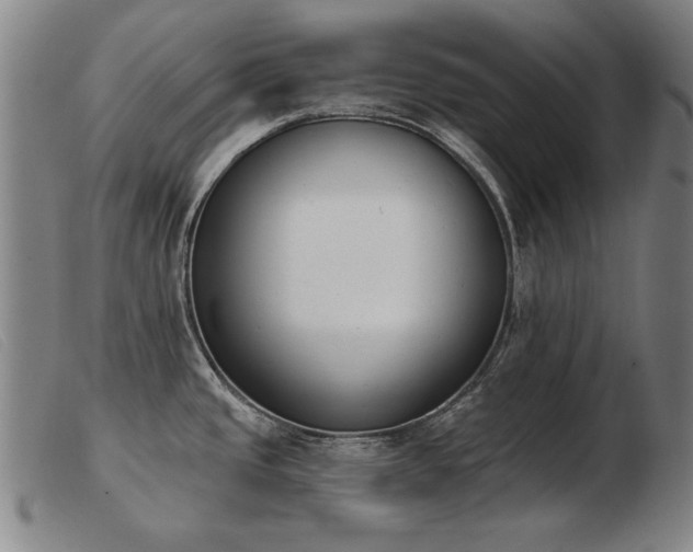 X0000103911437200809191252