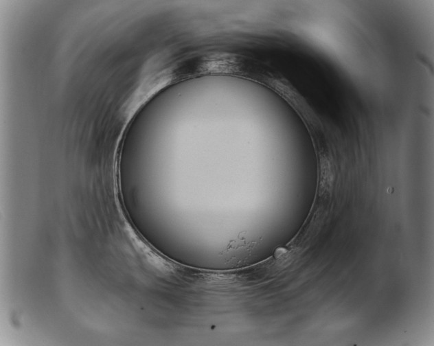 X0000103911439200809191252