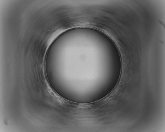 X0000103911440200809191252