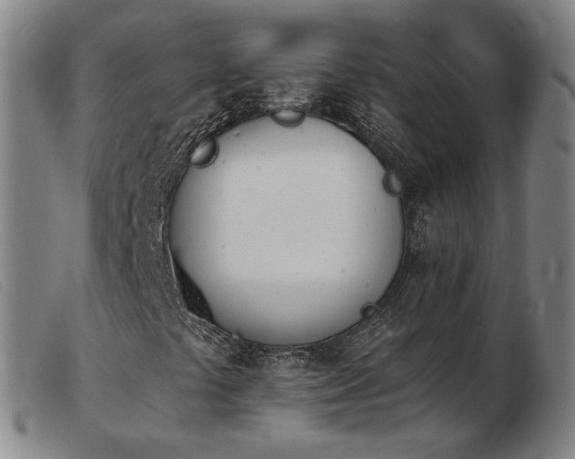 X0000103911441200809191251