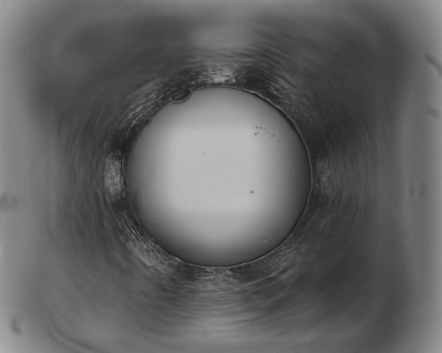 X0000103911442200809191251