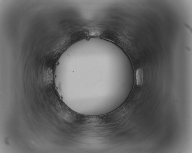 X0000103911443200809191251