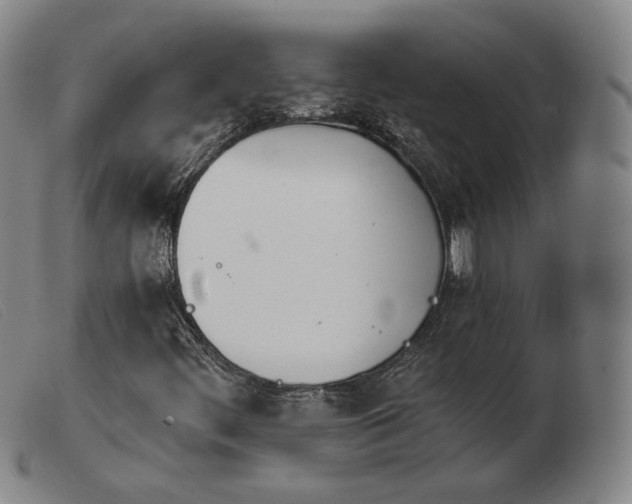 X0000103911444200809191251