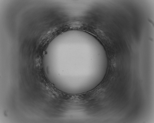 X0000103911445200809191251