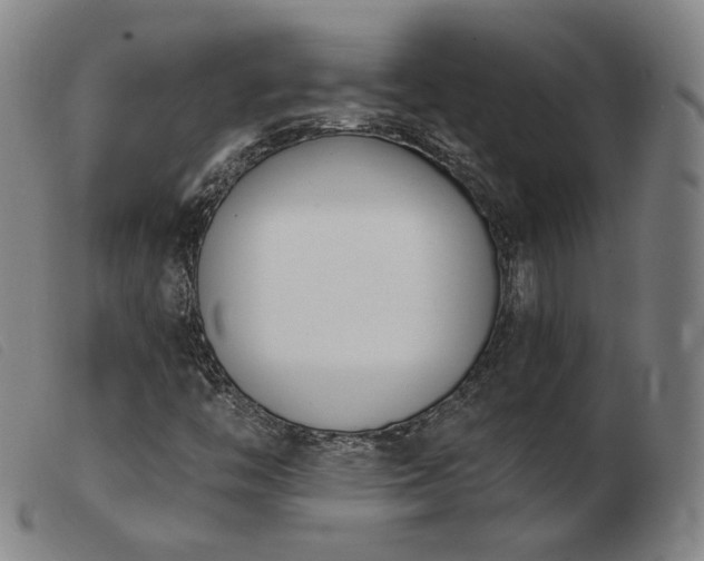 X0000103911446200809191251