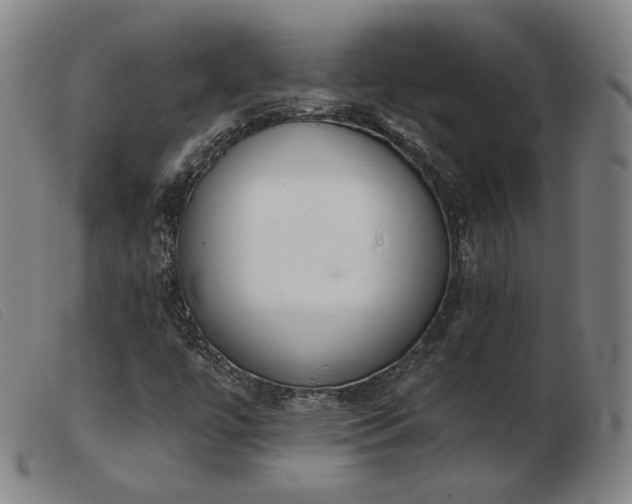 X0000103911447200809191251