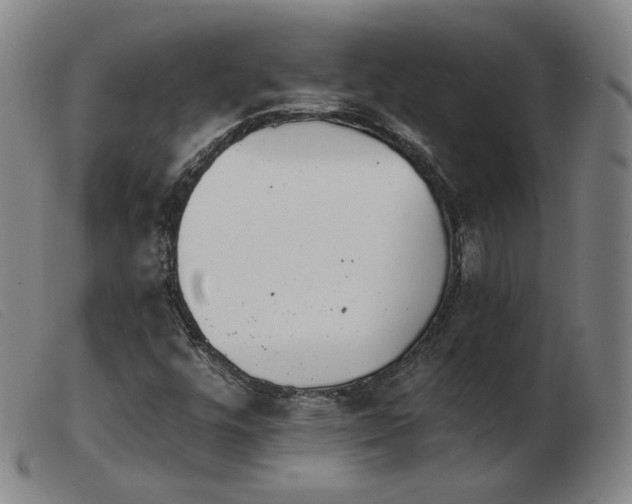 X0000103911448200809191251