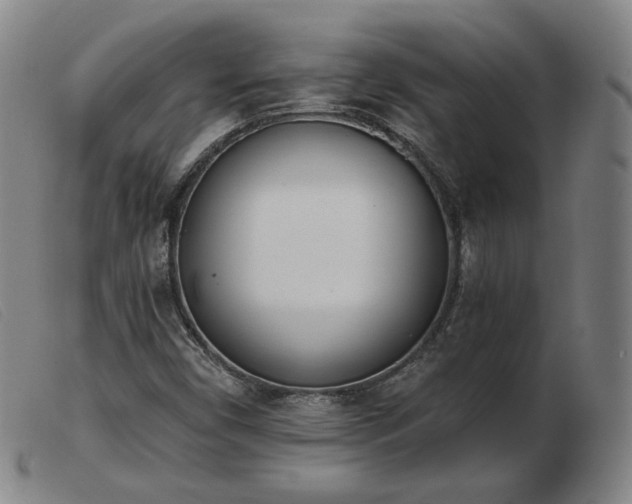 X0000103911450200809191251