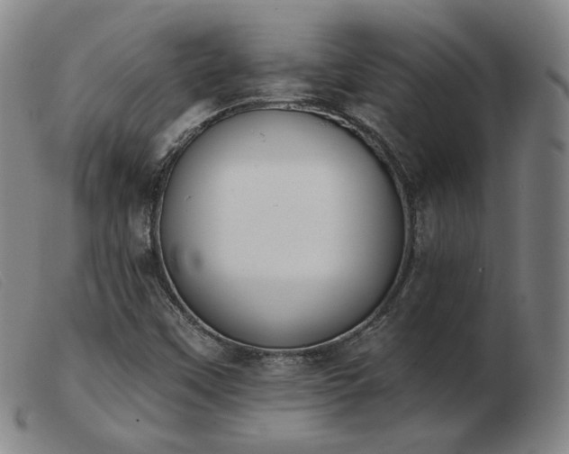 X0000103911451200809191251