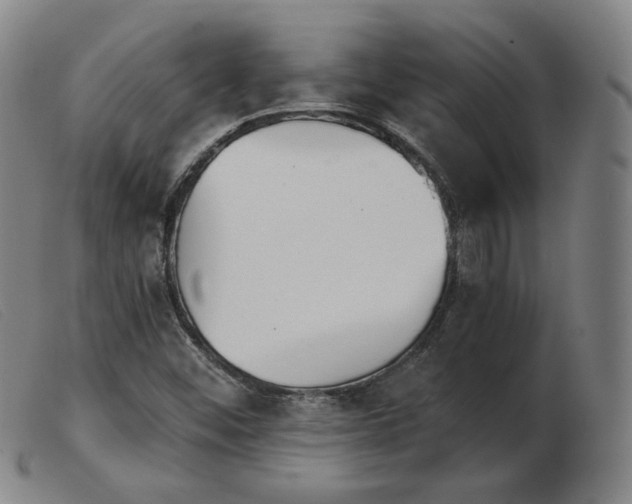 X0000103911452200809191251
