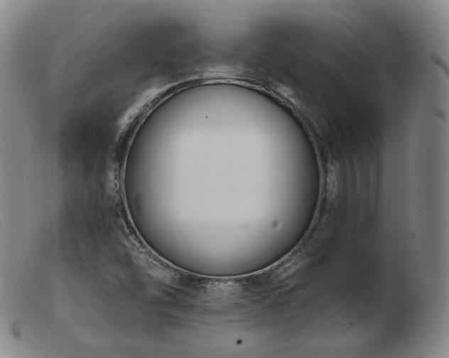 X0000103911454200809191251