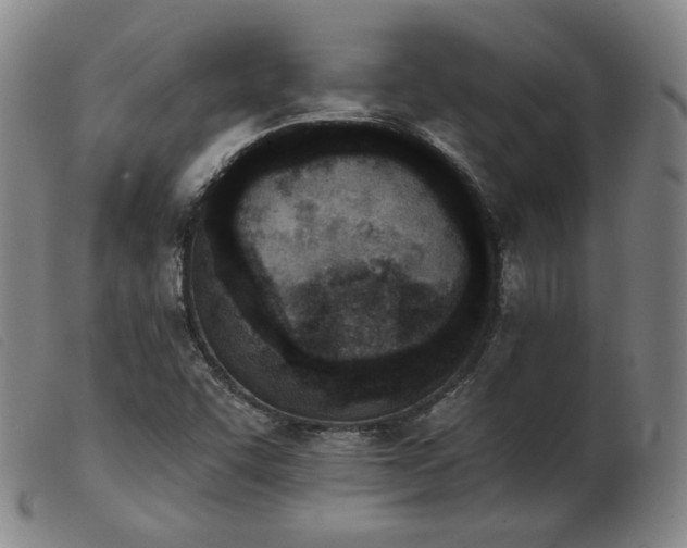 X0000103911455200809191251