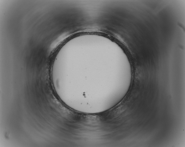 X0000103911456200809191251