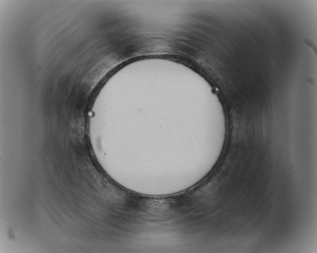 X0000103911457200809191251