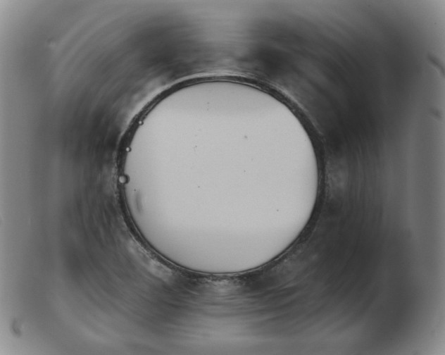 X0000103911460200809191251