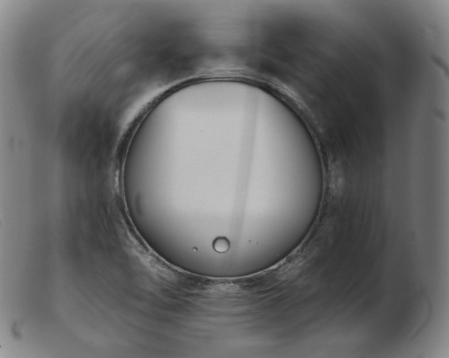 X0000103911462200809191251