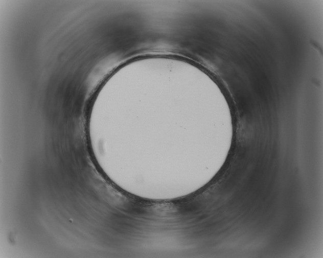 X0000103911464200809191251