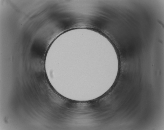 X0000103911465200809191250