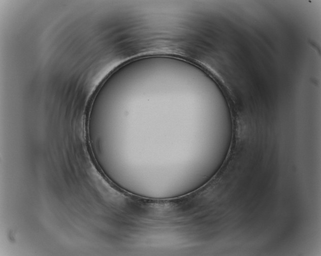 X0000103911468200809191250