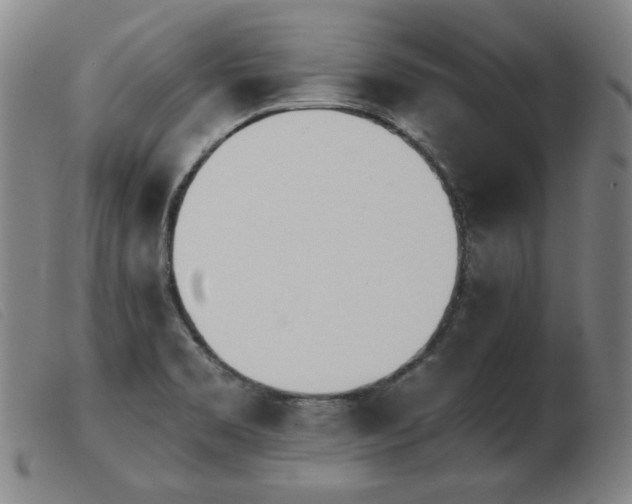 X0000103911469200809191250