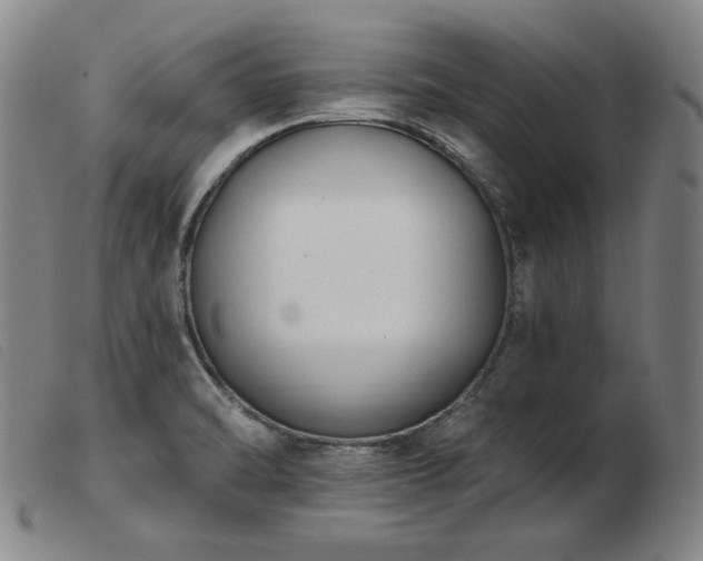 X0000103911470200809191250