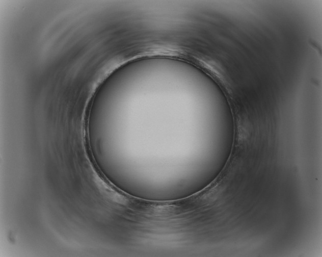X0000103911471200809191250