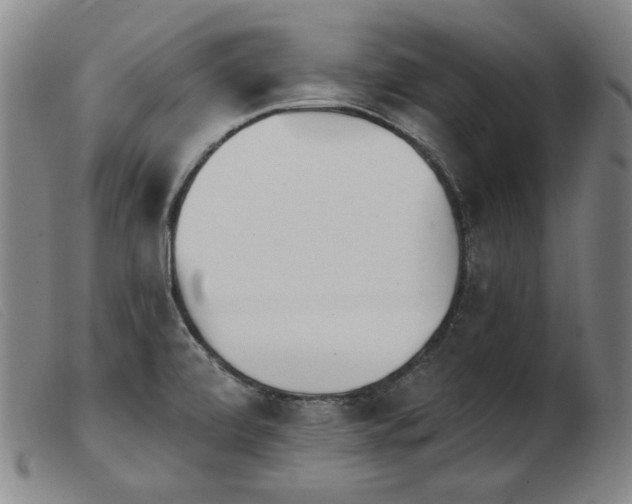 X0000103911472200809191250