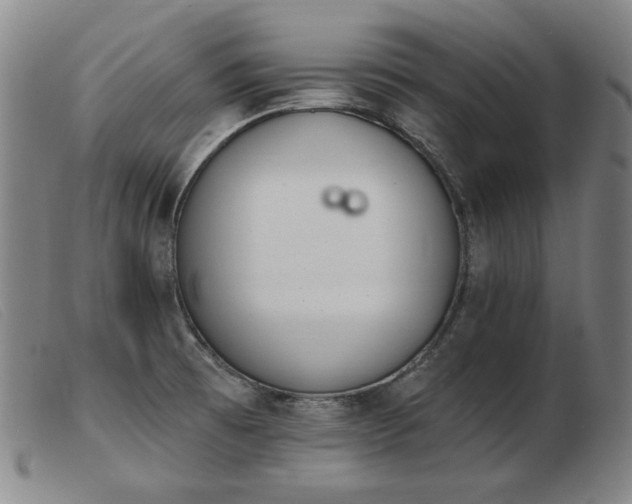 X0000103911473200809191250