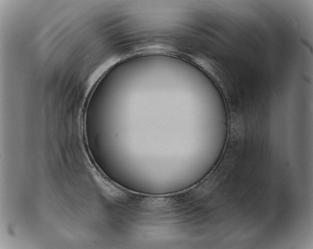 X0000103911474200809191250