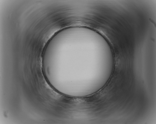 X0000103911476200809191250