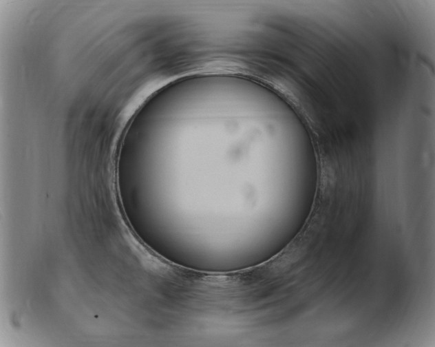 X0000103911478200809191250