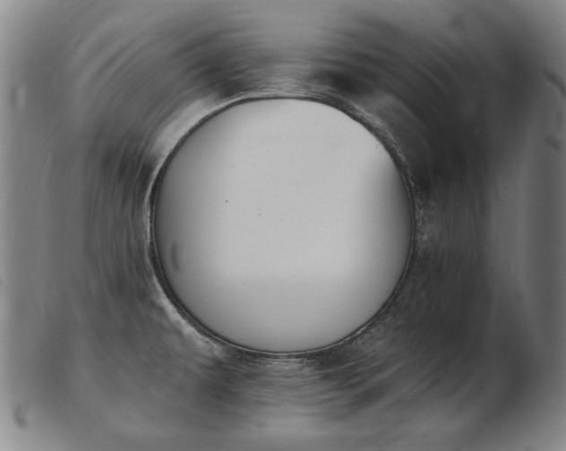 X0000103911479200809191250