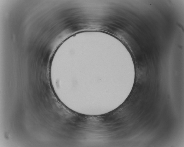 X0000103911480200809191250