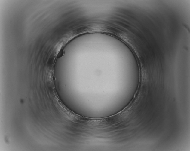 X0000103911481200809191250