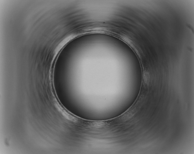 X0000103911482200809191250