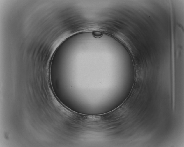 X0000103911483200809191250
