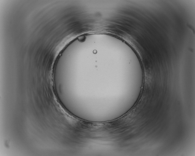 X0000103911485200809191250