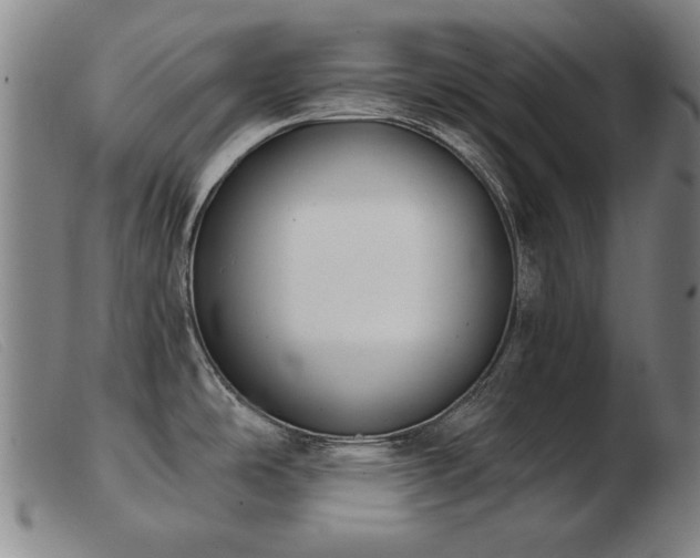 X0000103911486200809191250